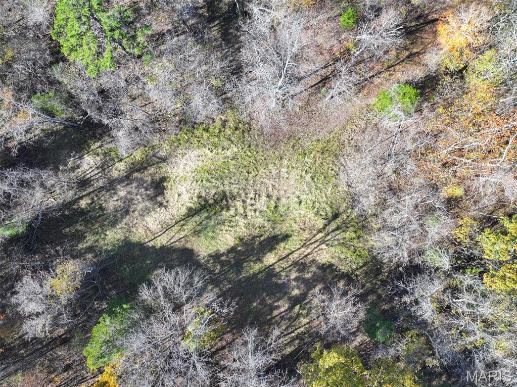 0 Floyd Tower Road Potosi, MO 63664 - Photo 32 of 40