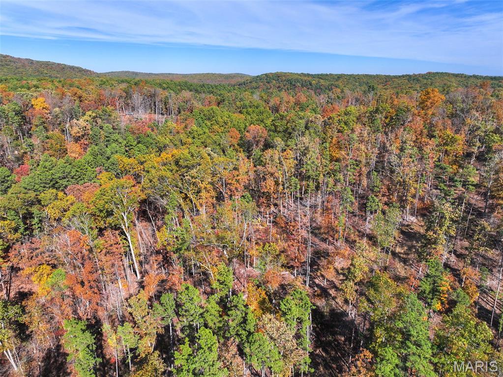 0 Floyd Tower Road Potosi, MO 63664 - Photo 33 of 40