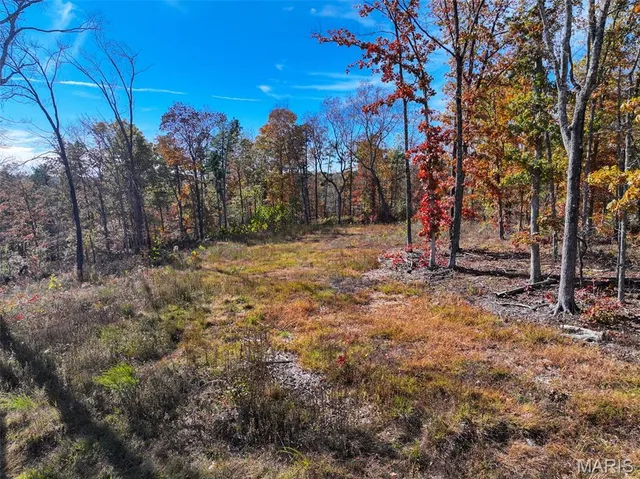 $302,130 | 0 Floyd Tower Road, Potosi, MO 63664