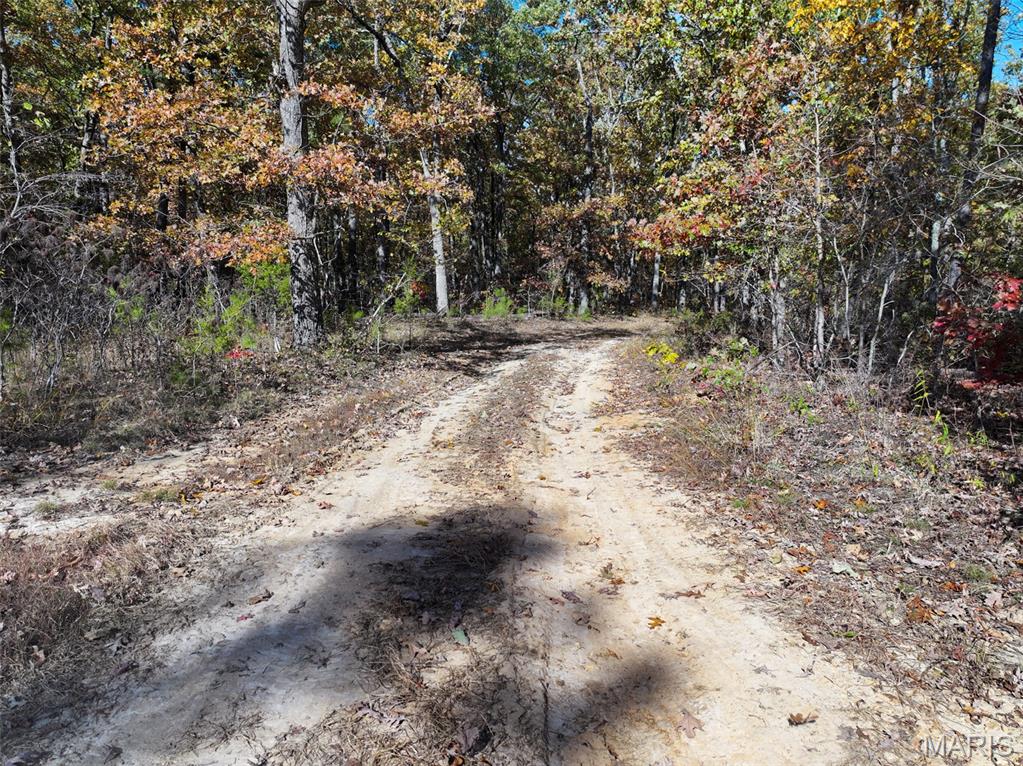 0 Floyd Tower Road Potosi, MO 63664 - Photo 36 of 40