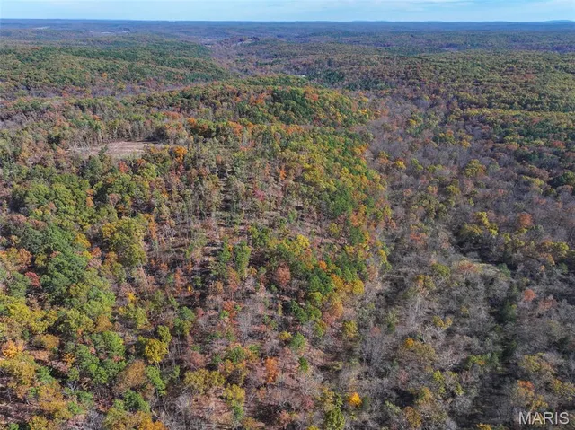 $302,130 | 0 Floyd Tower Road, Potosi, MO 63664