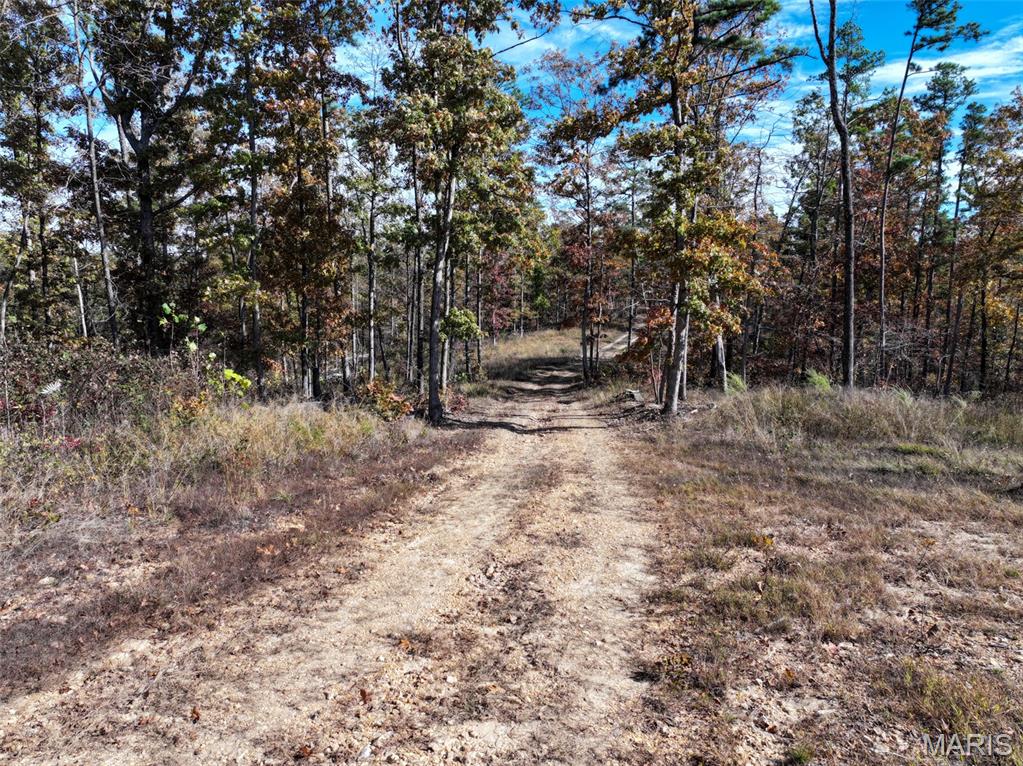 0 Floyd Tower Road Potosi, MO 63664 - Photo 5 of 40