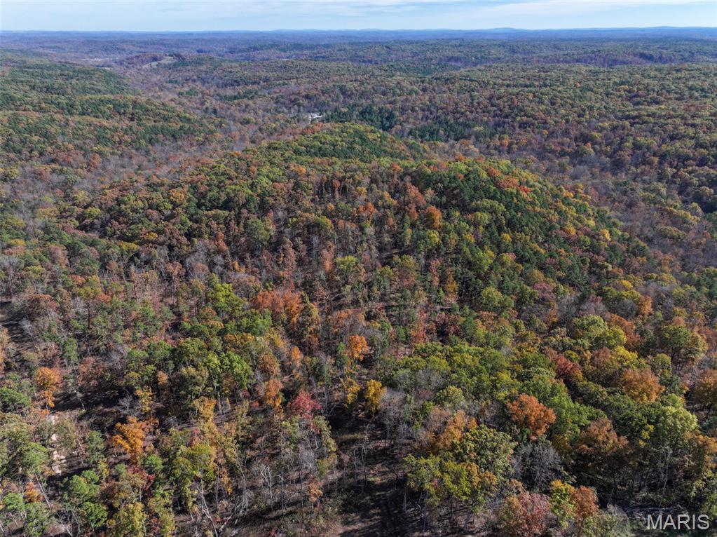 0 Floyd Tower Road Potosi, MO 63664 - Photo 7 of 40