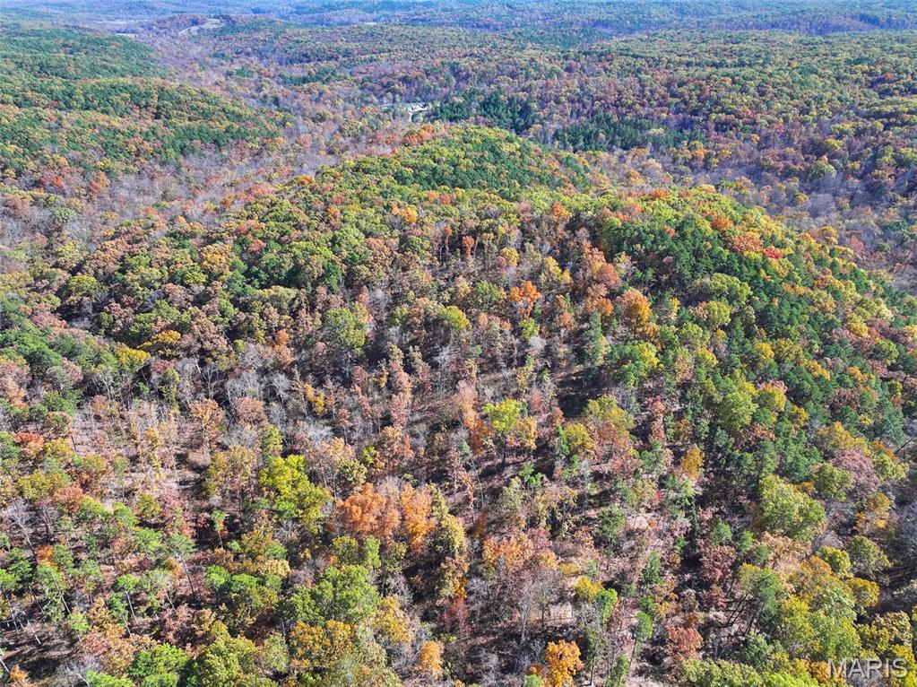 0 Floyd Tower Road Potosi, MO 63664 - Photo 8 of 40