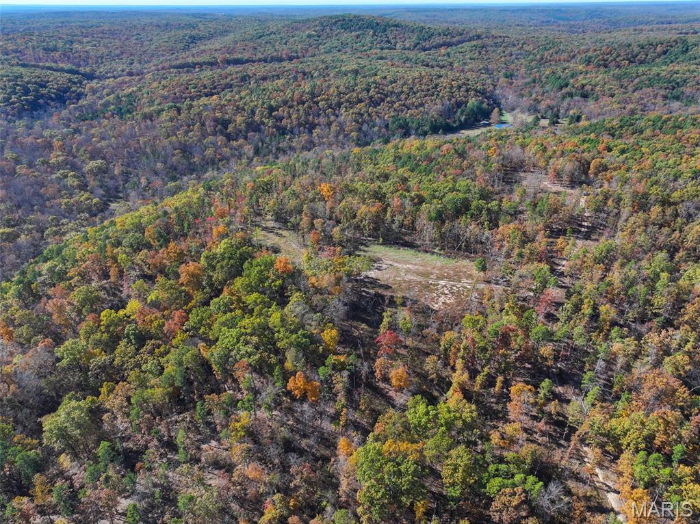 0 Floyd Tower Road Potosi, MO 63664 - Photo 9 of 40