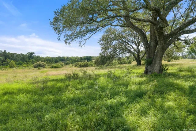 $2,995,000 | 444-742 Klein Road, Stonewall, TX 78671