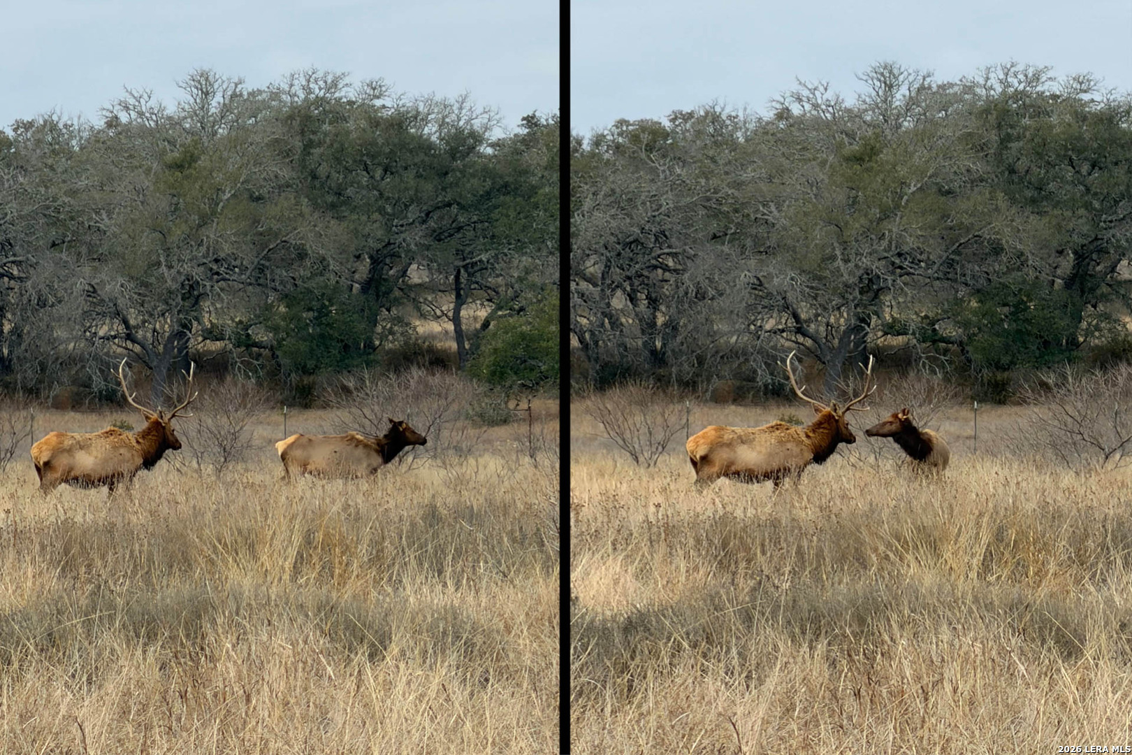 444-742 Klein Road Stonewall, TX 78671 - Photo 53 of 57