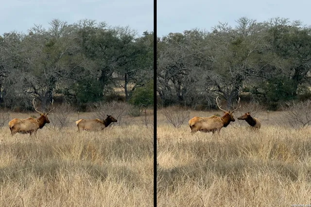 $2,995,000 | 444-742 Klein Road, Stonewall, TX 78671