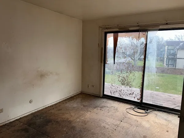 a view of road with large trees