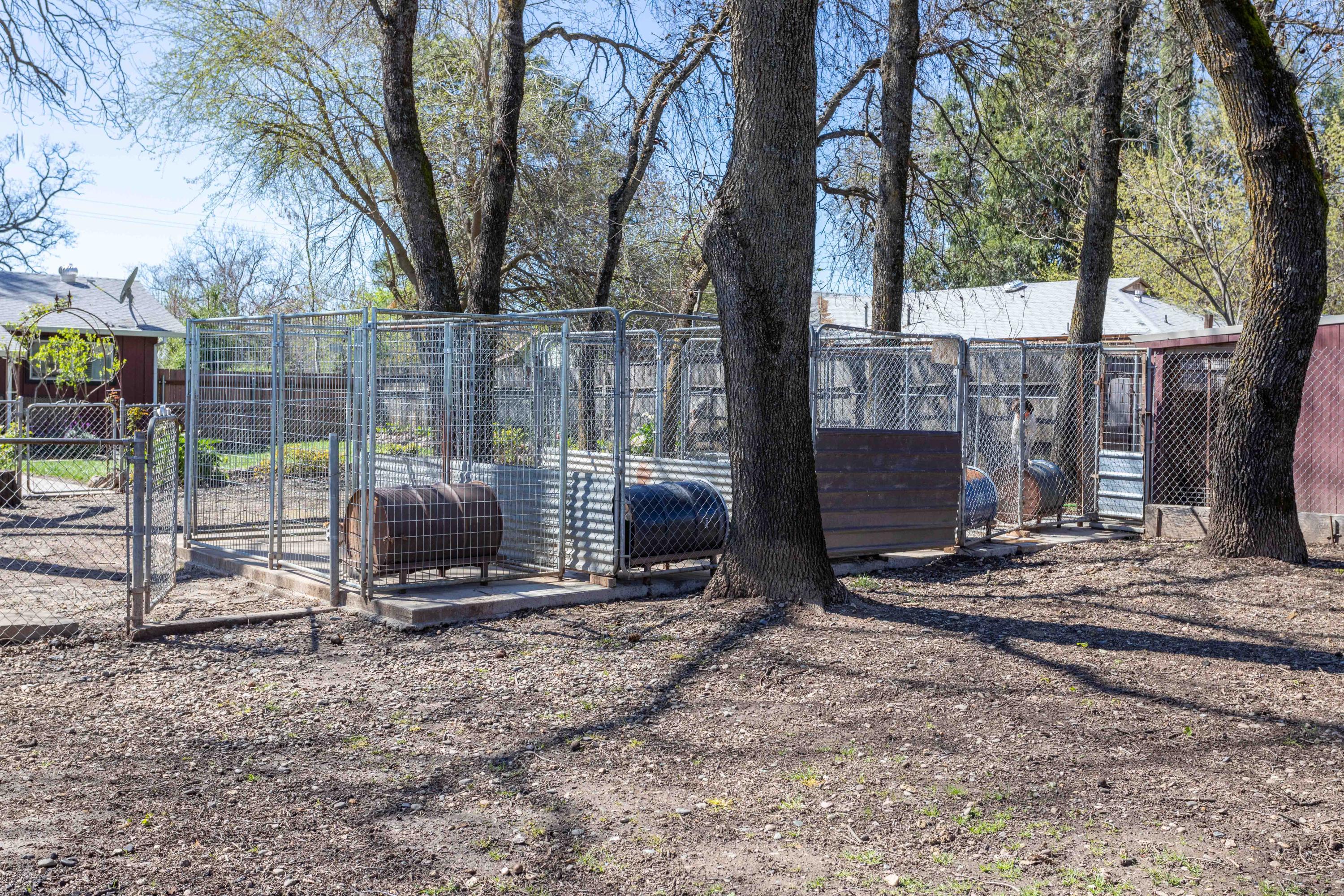 5791 Balls Ferry Road Anderson, CA 96007 - Photo 42 of 49 254A1227