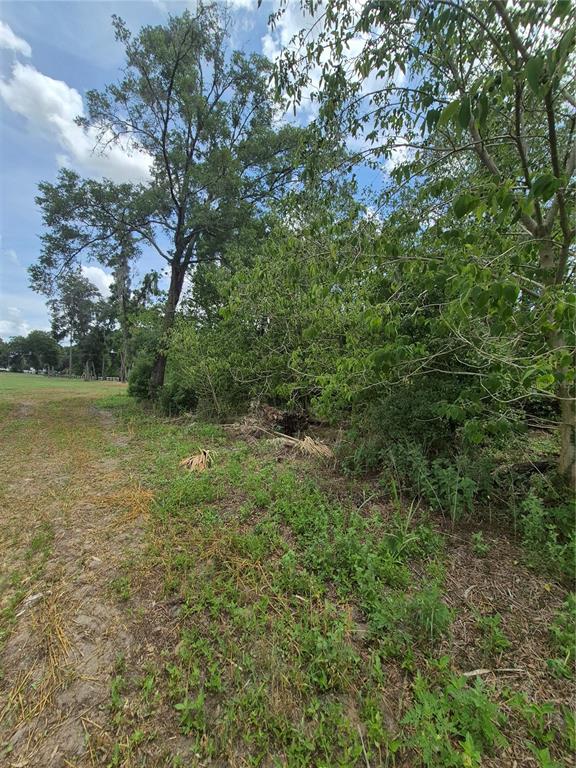 8748 Northeast Jacksonville Road Anthony, FL 32617 - Photo 8 of 9 a view of a field with an trees