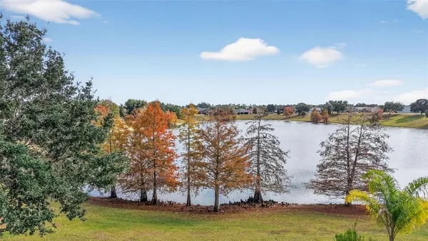 a view of lake and trees
