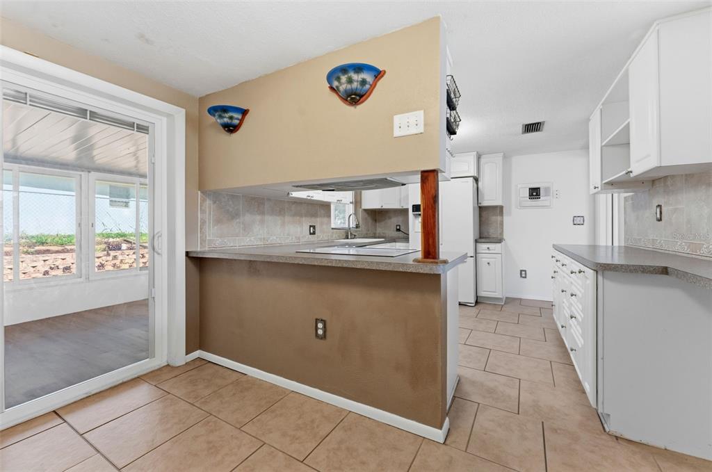4737 Alcea Street New Port Richey, FL 34652 - Photo 14 of 32