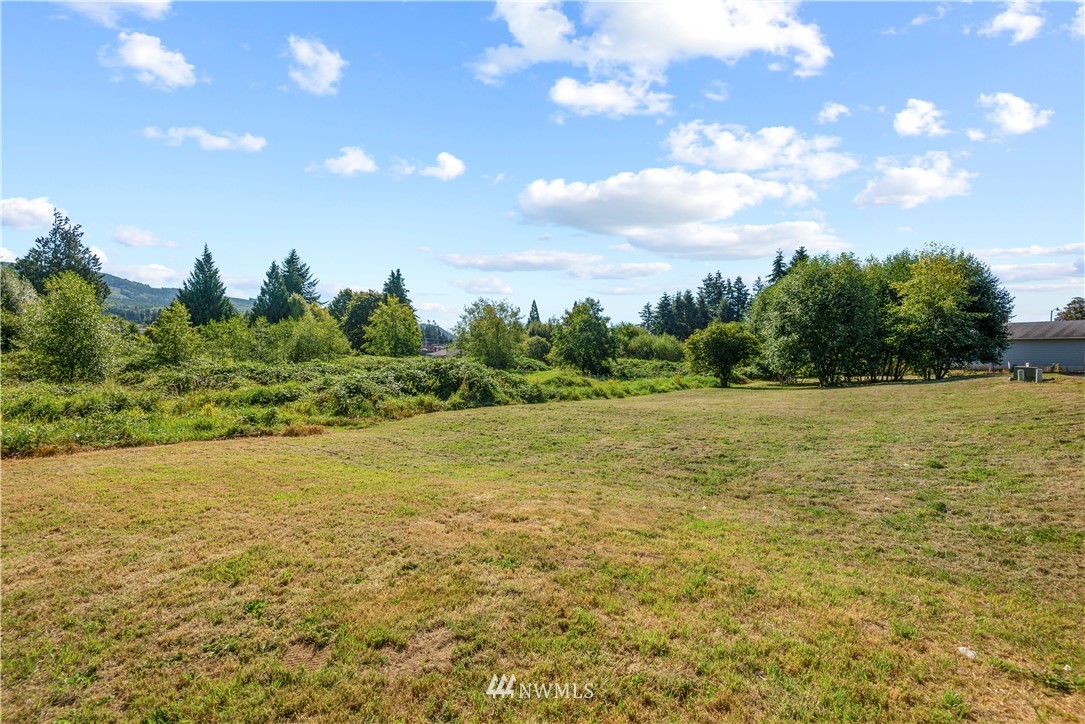 140 Glen Gate Loop Cathlamet, WA 98612 - Photo 8 of 11 a view of a field with an trees in the background