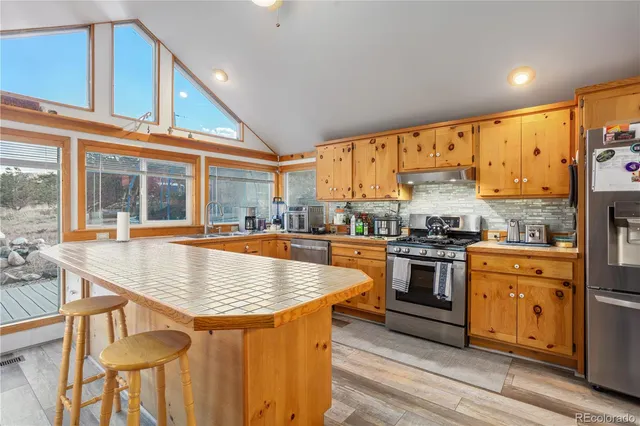 $589,000 | 371 Holiday Hills Drive, Howard, CO 81233