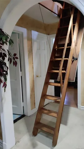 a view of a house with potted plants and a tree