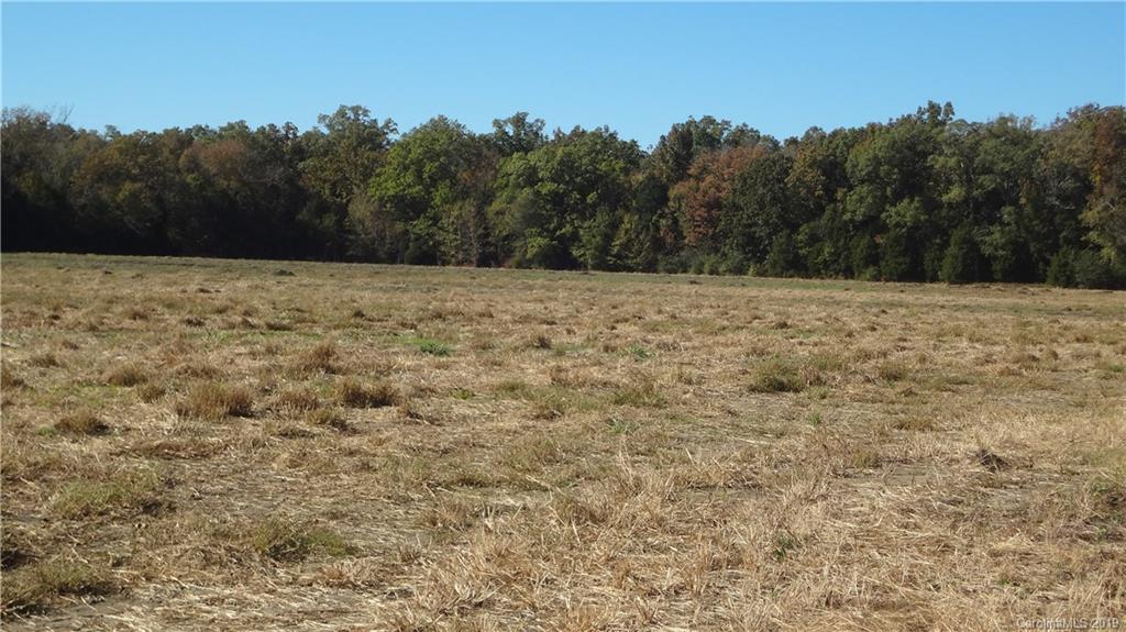 0 Mobley Store Road Rock Hill, SC 29730 - Photo 1 of 8