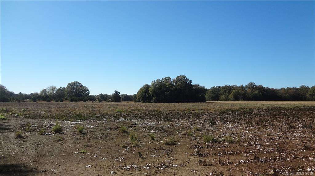 0 Mobley Store Road Rock Hill, SC 29730 - Photo 4 of 8