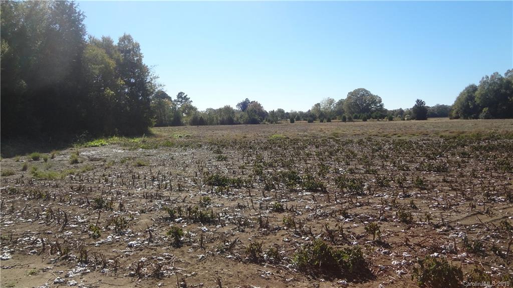 0 Mobley Store Road Rock Hill, SC 29730 - Photo 5 of 8