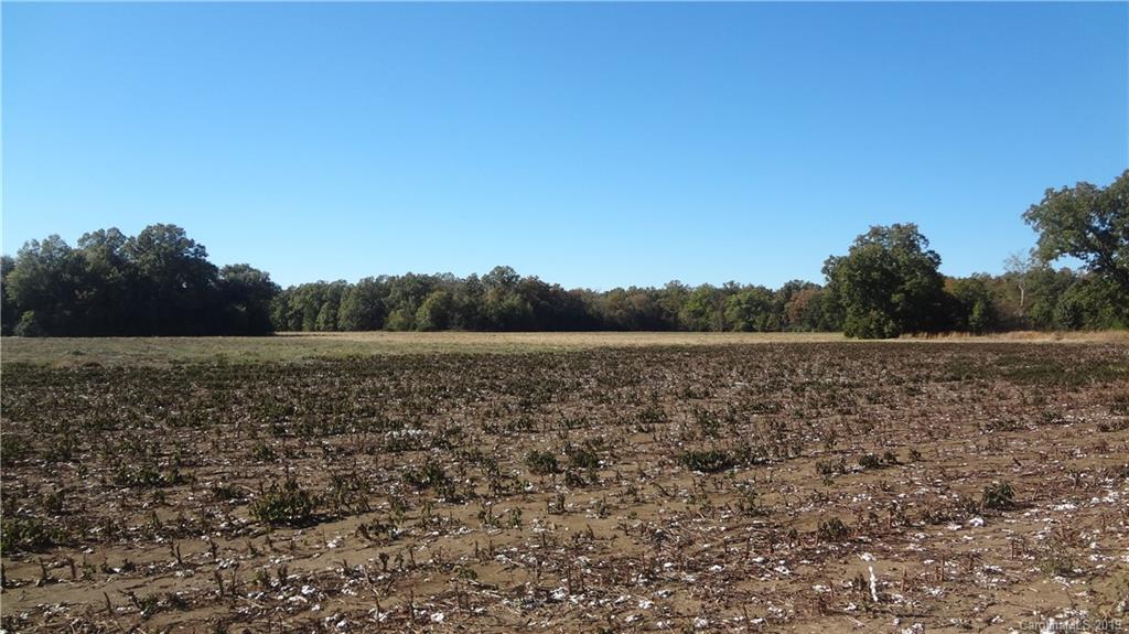 0 Mobley Store Road Rock Hill, SC 29730 - Photo 6 of 8