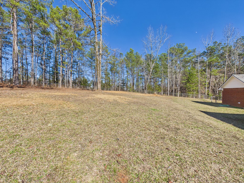 2894 McKee Road Upatoi, GA 31829 - Photo 45 of 60 Back yard