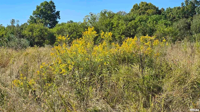 0 Mt Pisgah Road, Vienna, IL 62995