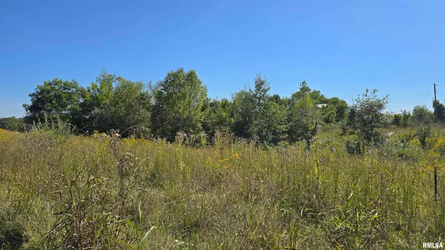 0 Mt Pisgah Road, Vienna, IL 62995