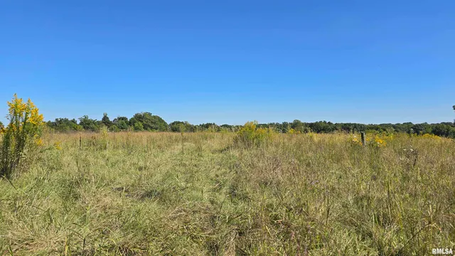 0 Mt Pisgah Road, Vienna, IL 62995