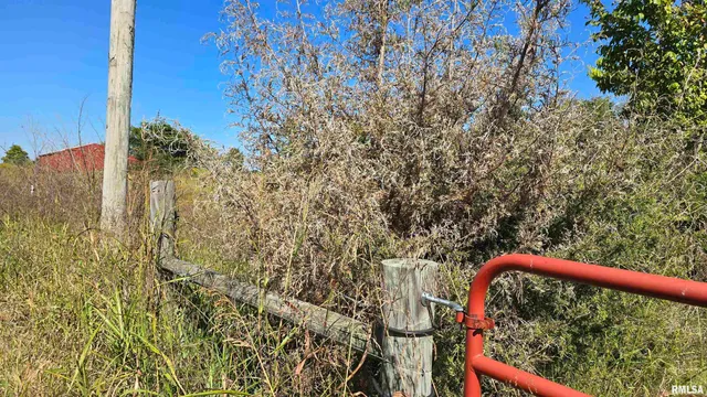 0 Mt Pisgah Road, Vienna, IL 62995