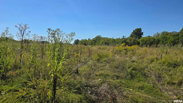 0 Mt Pisgah Road, Vienna, IL 62995