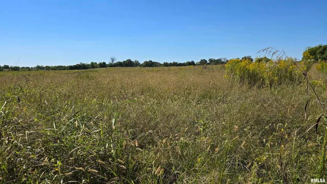 0 Mt Pisgah Road, Vienna, IL 62995