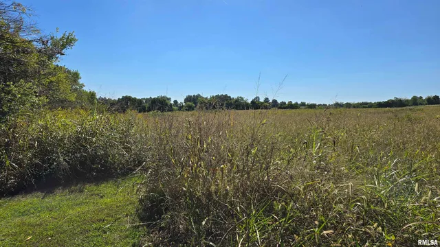 0 Mt Pisgah Road, Vienna, IL 62995