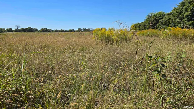 0 Mt Pisgah Road, Vienna, IL 62995