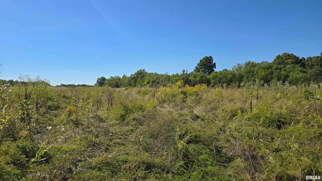 0 Mt Pisgah Road, Vienna, IL 62995