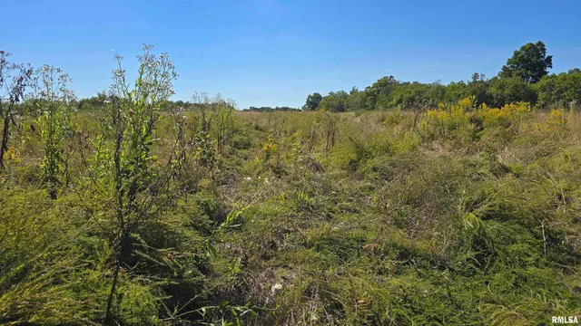 0 Mt Pisgah Road, Vienna, IL 62995