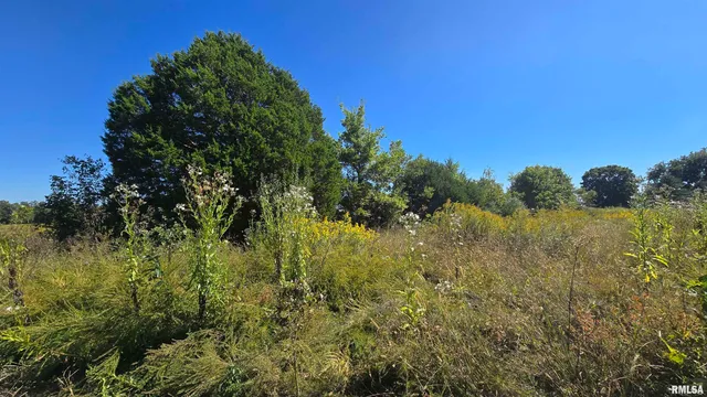 0 Mt Pisgah Road, Vienna, IL 62995