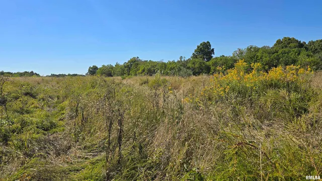 0 Mt Pisgah Road, Vienna, IL 62995