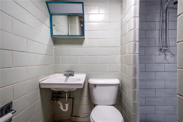 a bathroom with a sink and a toilet