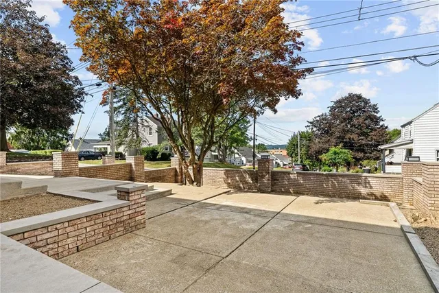 a view of a yard with plants