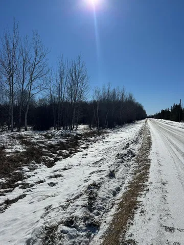 $39,000 | Tbd 8th Street Northwest, Baudette, MN 56623