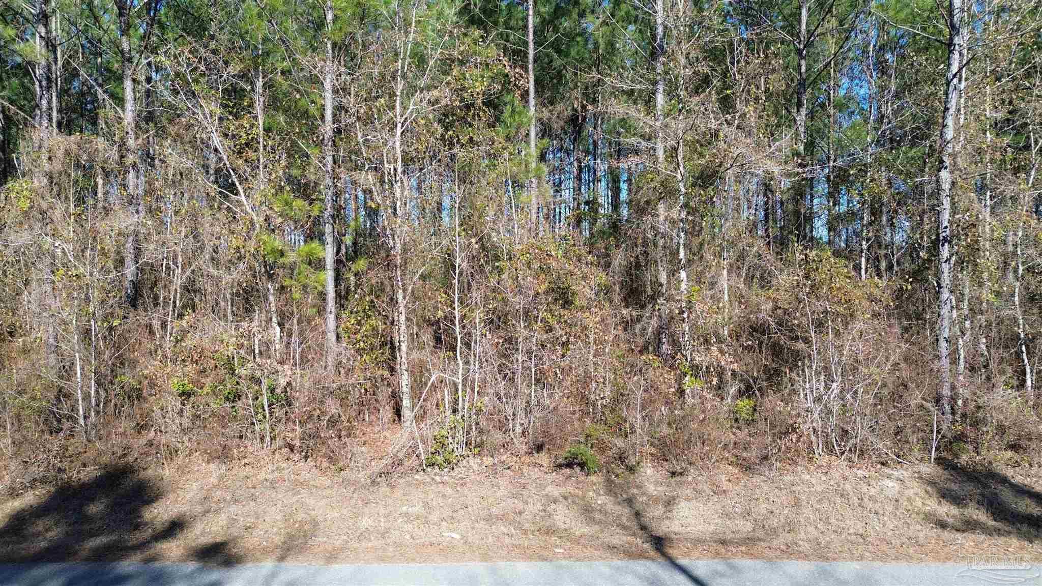 Lot 47 Mineral Springs Road Jay, FL 32565 - Photo 2 of 6