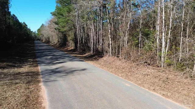 $64,900 | Lot 47 Mineral Springs Road, Jay, FL 32565