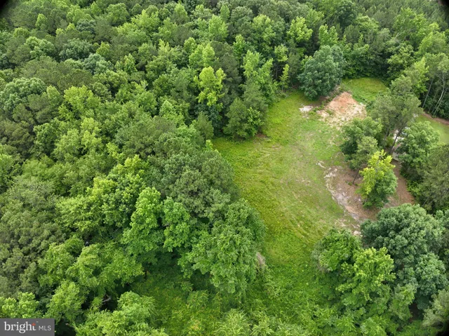 a backyard of a house with lots of green space and two chairs
