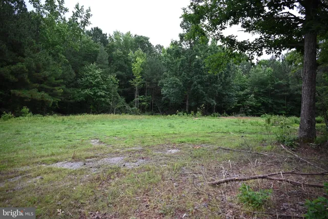 a view of outdoor space with green field and trees