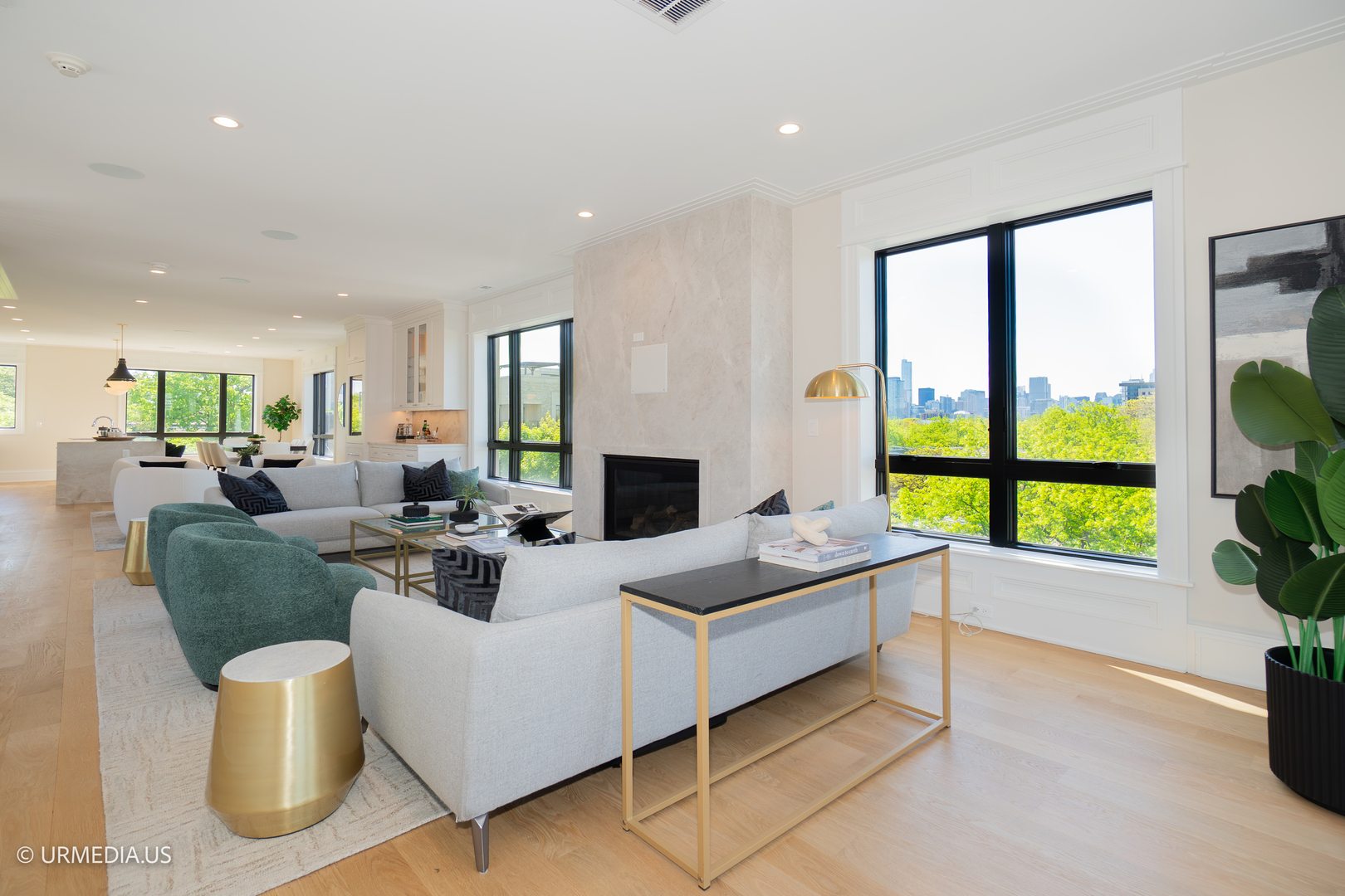 1812 North Howe Street, Unit PH Chicago, IL 60614 - Photo 4 of 40