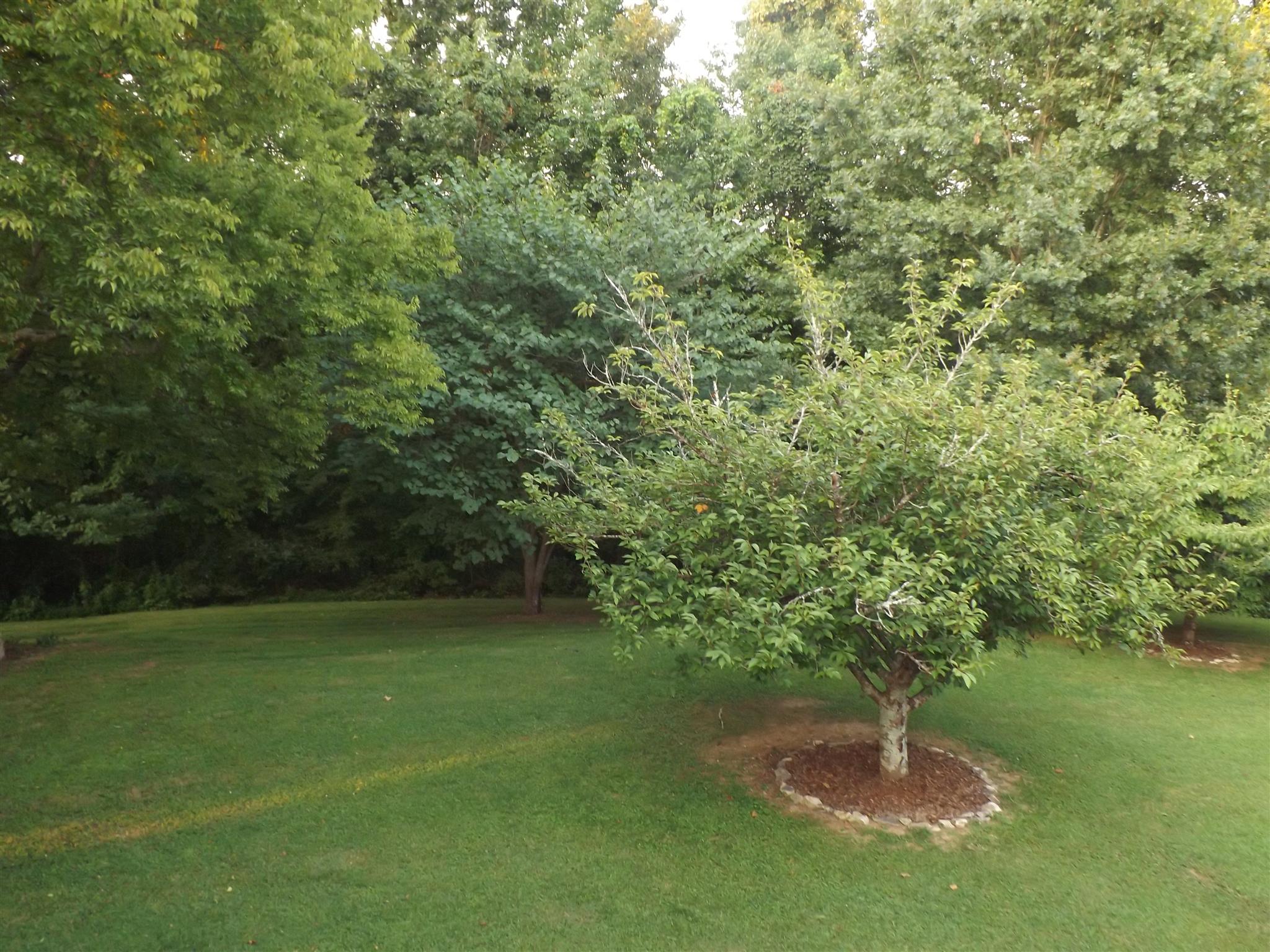 135 East Ridge Pulaski, TN 38478 - Photo 13 of 24 Gallery Image 13