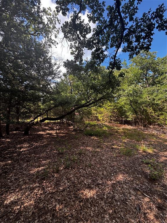 Tbd Woodland Estates Road Terrell, TX 75160 - Photo 20 of 22 a view of a yard with plants and trees
