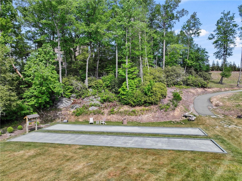 142 Evening View Lane, Unit CA3 Boone, NC 28607 - Photo 33 of 41 a view of a yard with plants