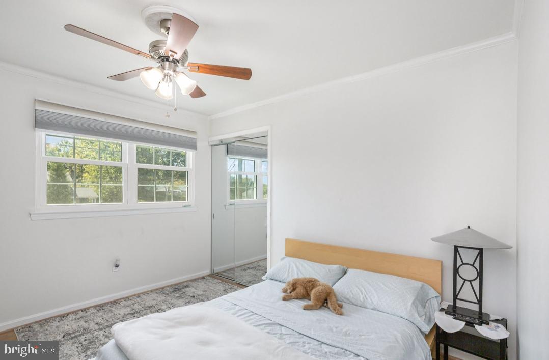 6919 Rolling Road Springfield, VA 22152 - Photo 25 of 42 Bedroom #3