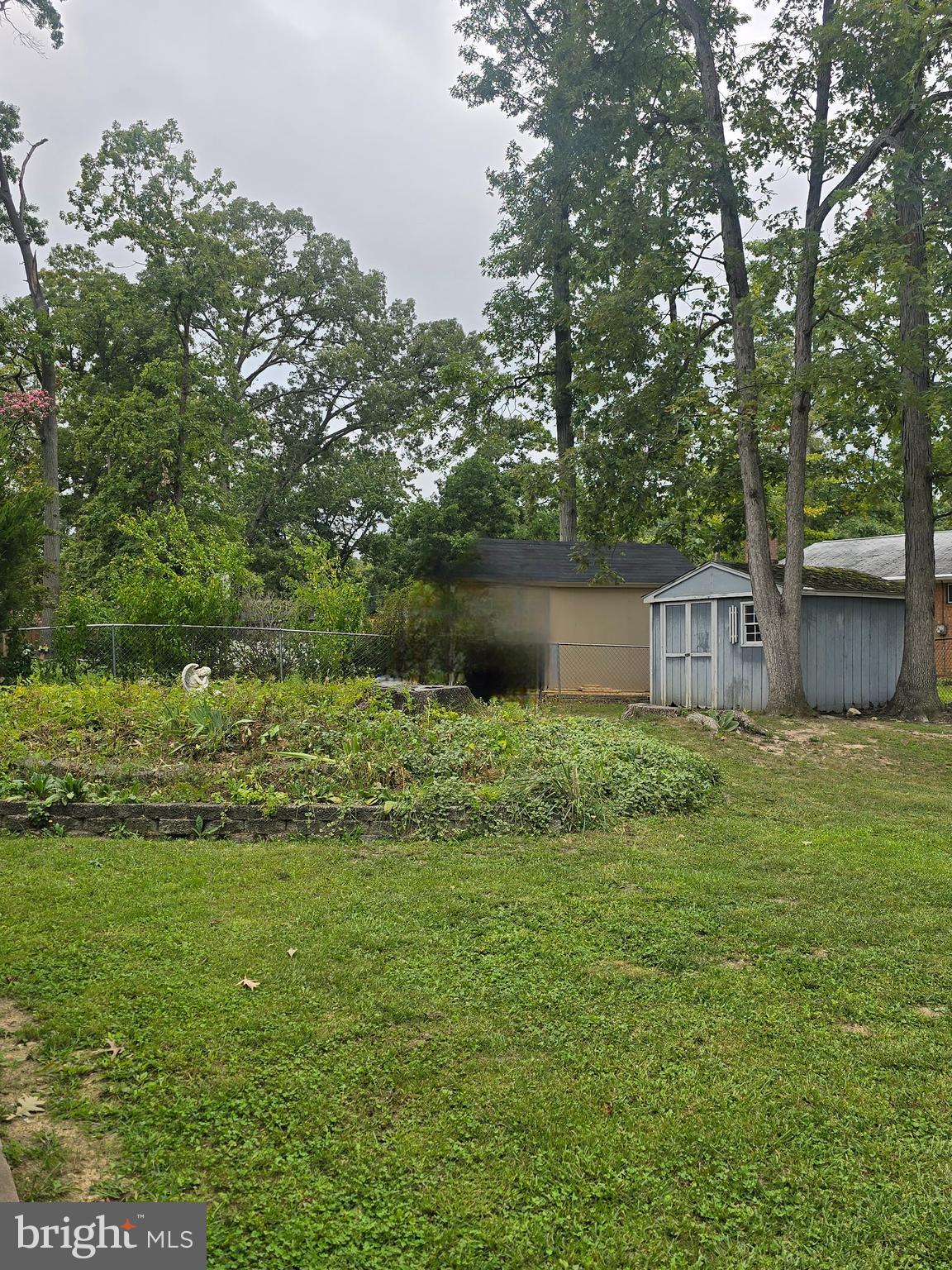 6919 Rolling Road Springfield, VA 22152 - Photo 42 of 42 Backyard